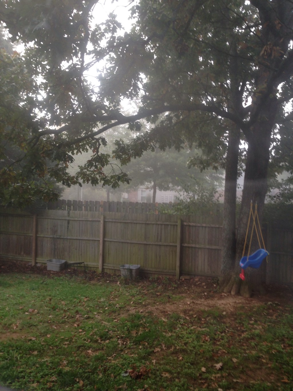 Scholastic Saturdays: the academic versus the&nbsp;mommy