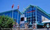 ripleys-aquarium-gatlinburg