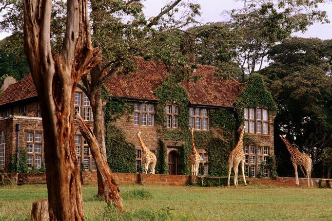 Say What Saturday: Dare to&nbsp;Dream?