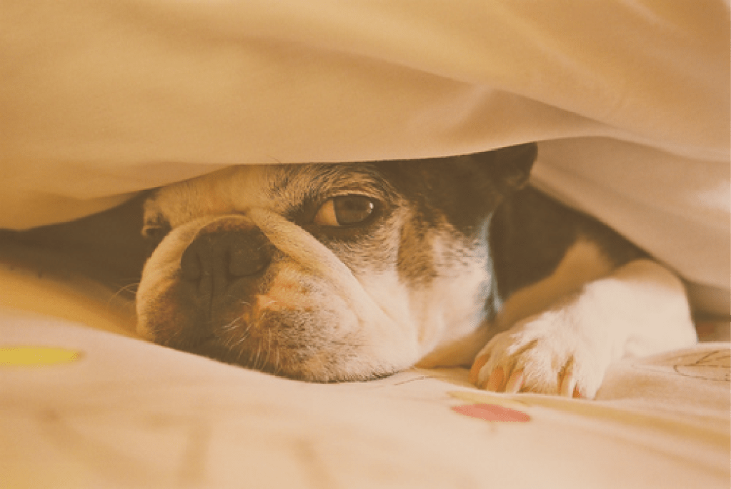 Say What?!? Saturday: Bruh&nbsp;*faints*