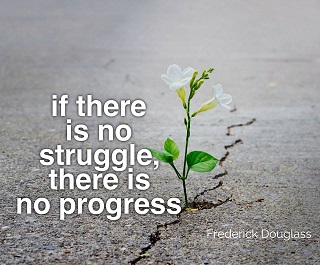 Say What?!? Saturday:&nbsp;Determination