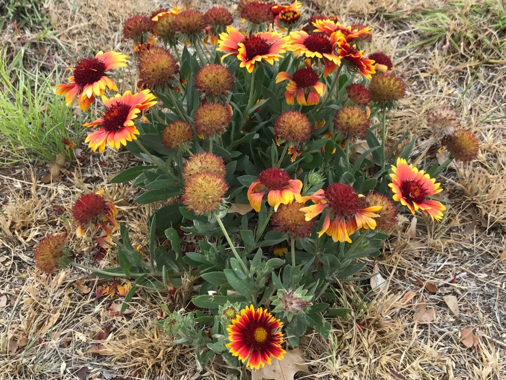 Tipping Towards 40: Revelations About What Comes&nbsp;Next