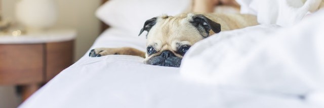 Say What?!? Saturday: Bedtime&nbsp;Stories