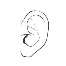 ear