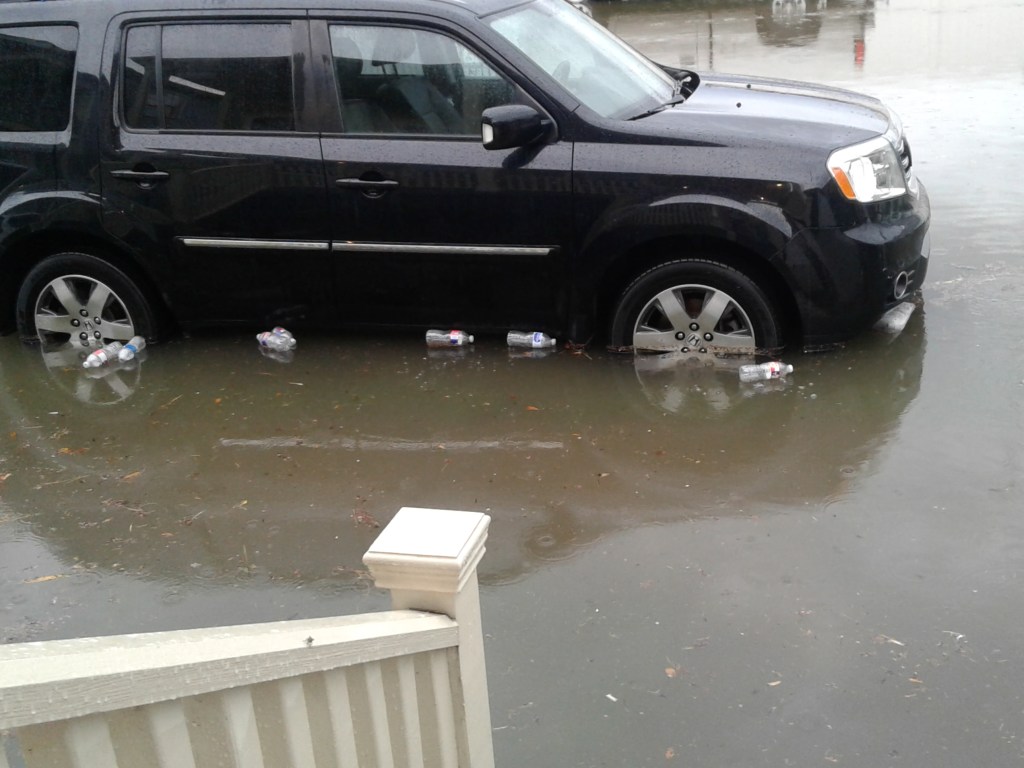 Serenity Sunday: “What happened at the New&nbsp;Wildins?”