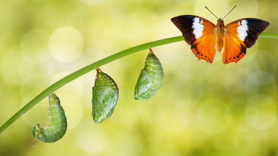 6188D0A3-6AA8-4C02-8440-9ABDA1F3B1A2