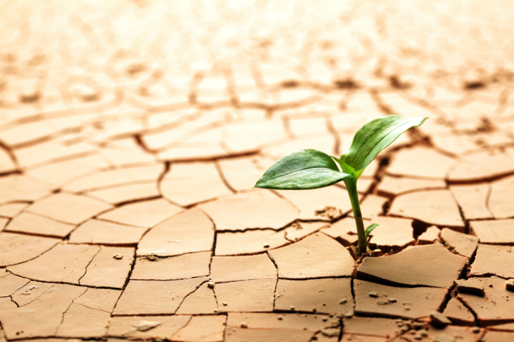 546047D0-8962-4614-8DE2-D5F863651757