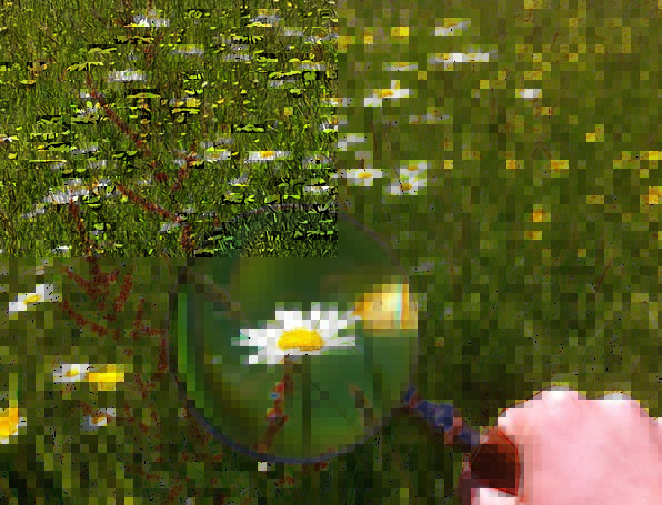 9085A4DB-E5F5-42F1-8D9E-CA5483F6943D